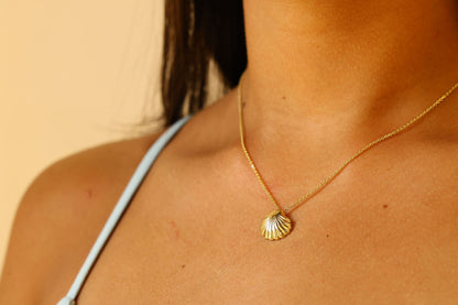 9ct Yellow Gold Polished Solid Shell Necklace