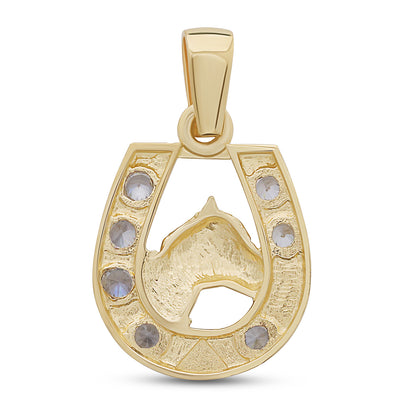 9ct Yellow Gold Gem Set Large Horseshoe Pendant